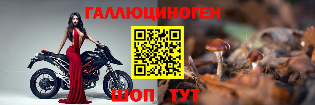 Галлюциногенные грибы Magic Shrooms  Псилоцибиновые грибы GOLDEN TEACHER  Вход с VPN  Череповец 